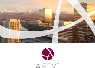 AEDC Annual Report: 2013