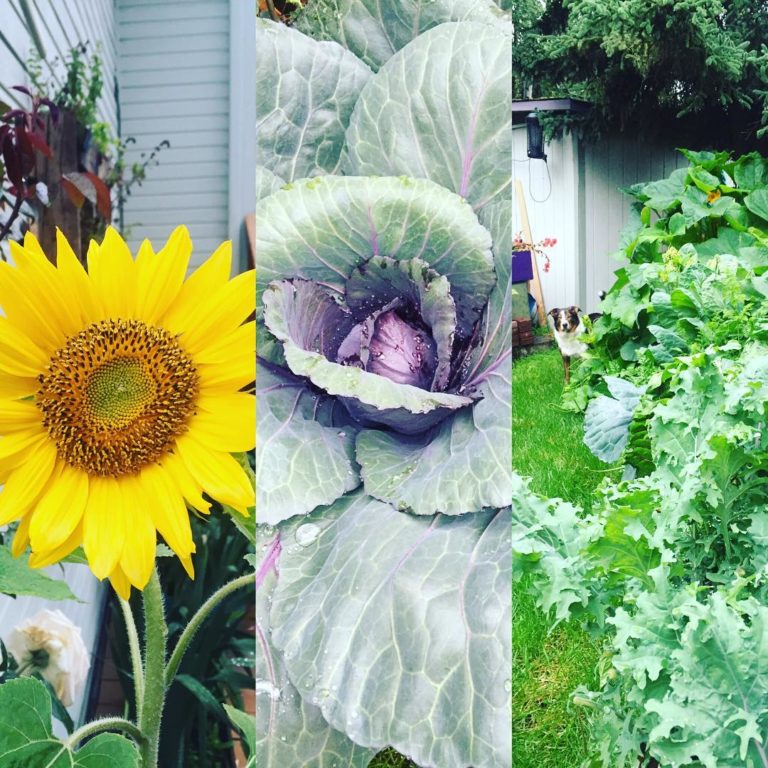 @iloveanchorage My #garden is loving all this rain ☔ I had so much fun hosting #iloveanchorage this weekend! I am so grateful to be a part of such an awesome #community! @saigenharris_