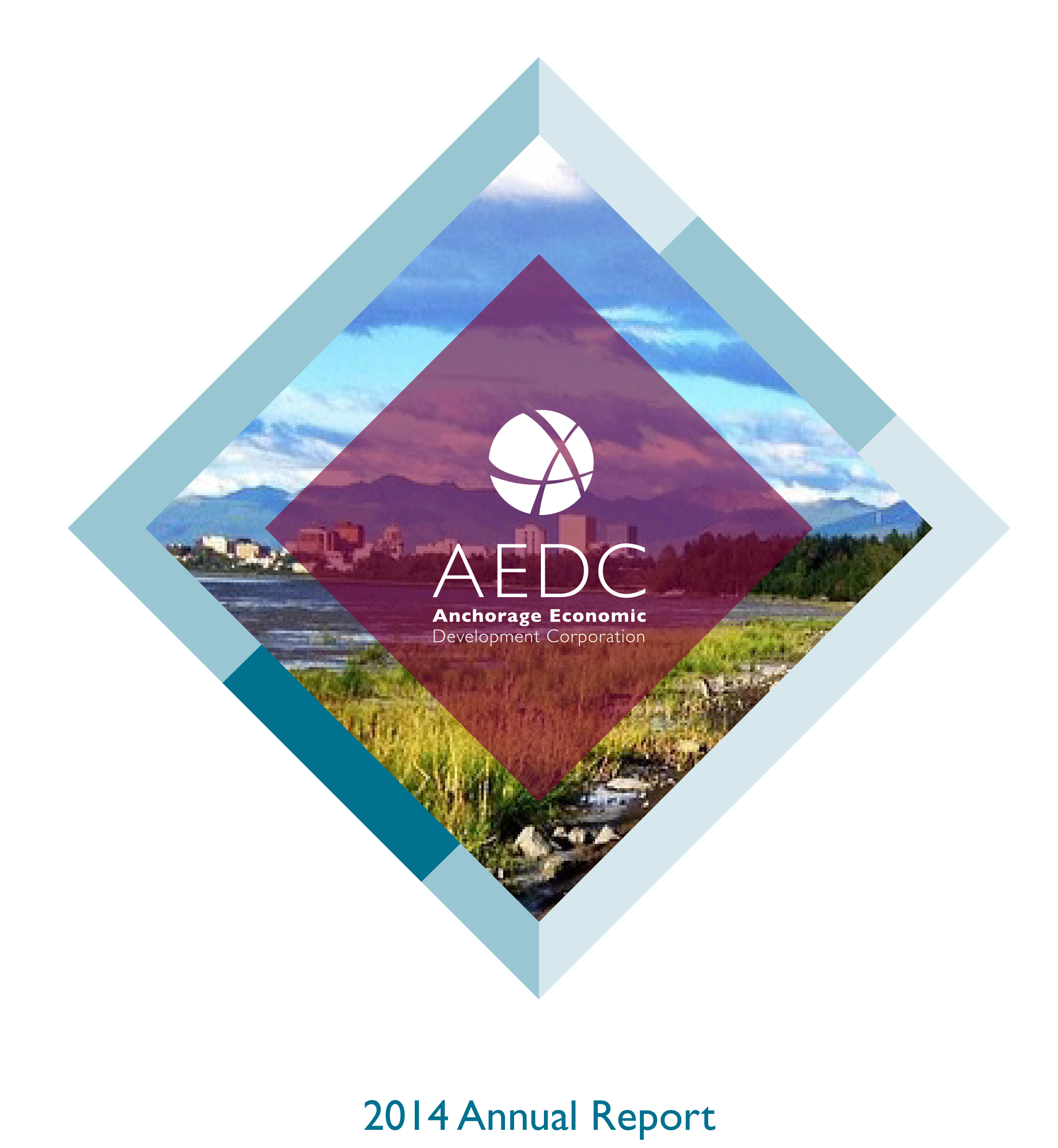 AEDC Annual Report: 2014