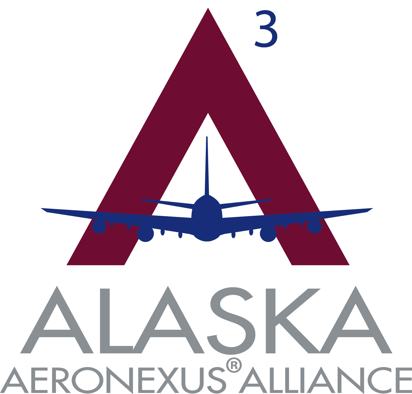 AeroNexus Alliance Logo 