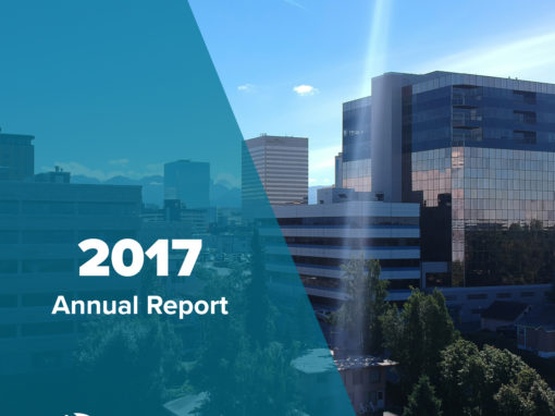 AEDC Annual Report: 2017