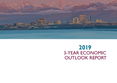 2019 3-Year Outlook Report
