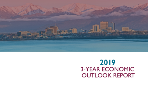 2019 3-Year Outlook Report