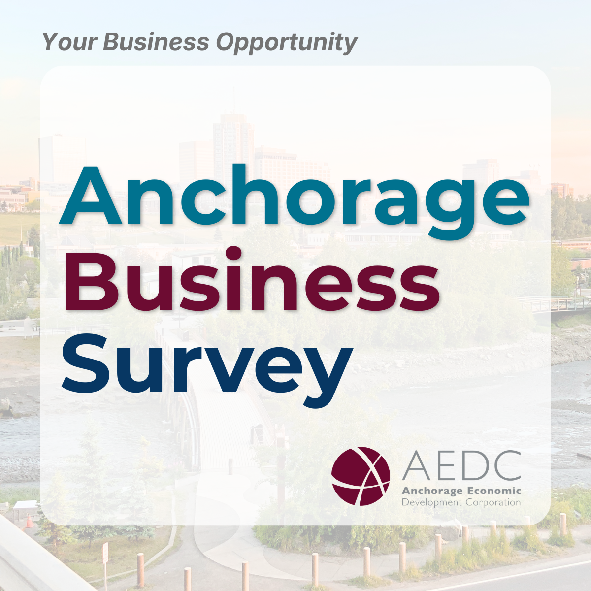 Business Opportunity Anchorage Business Survey