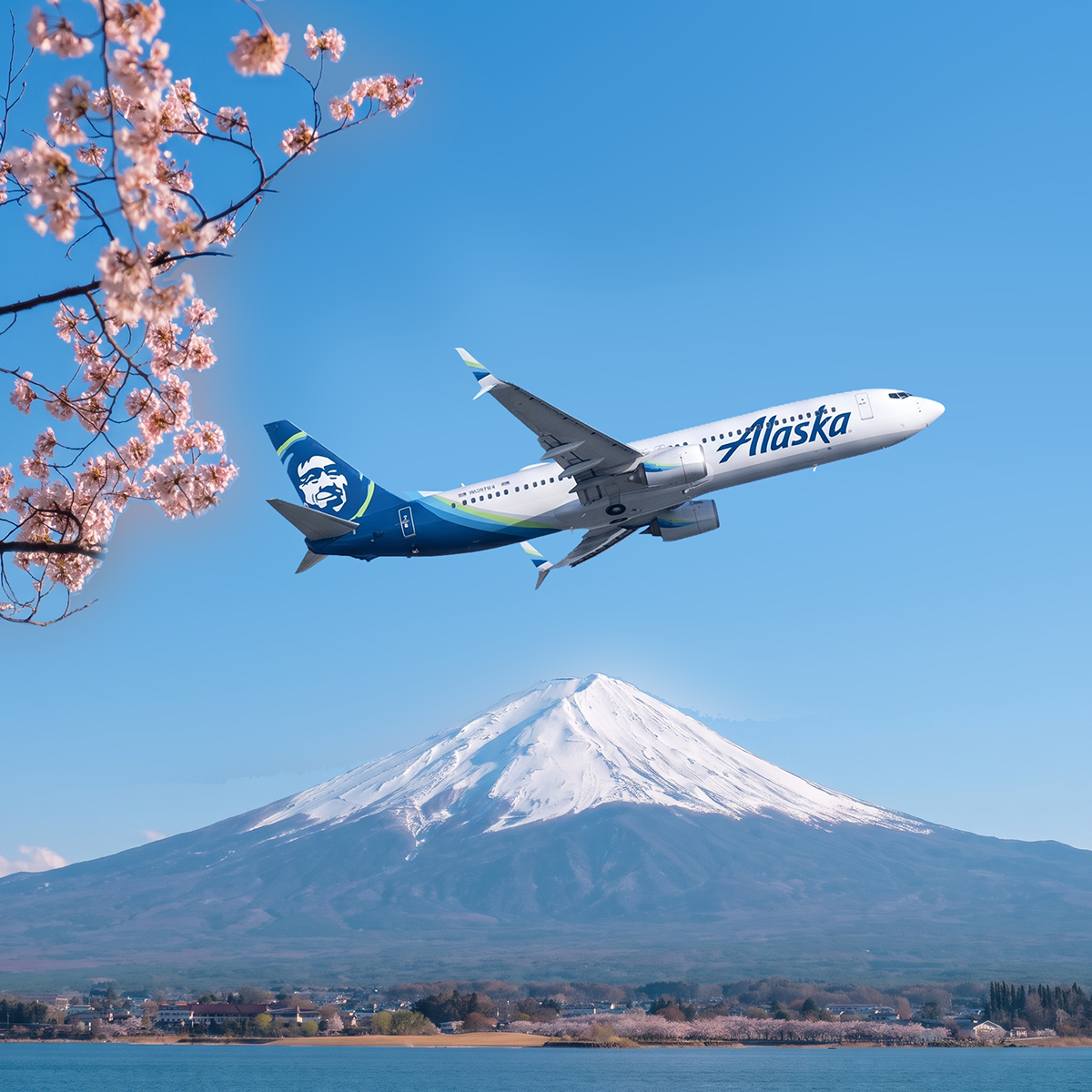 tokyo ak air